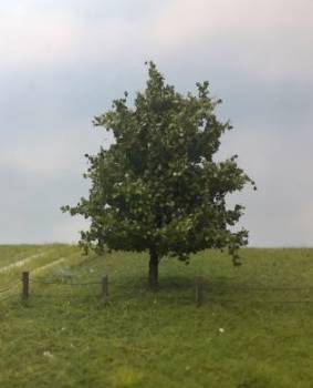 Ahorn Sommer Profi